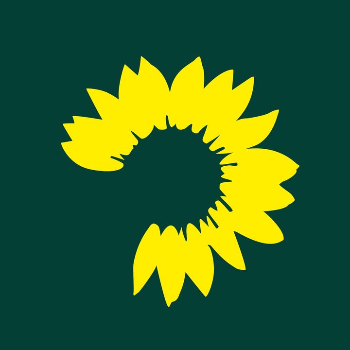 Grüne im Bundestag