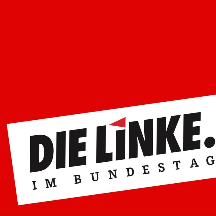DIE LINKE. im Bundestag